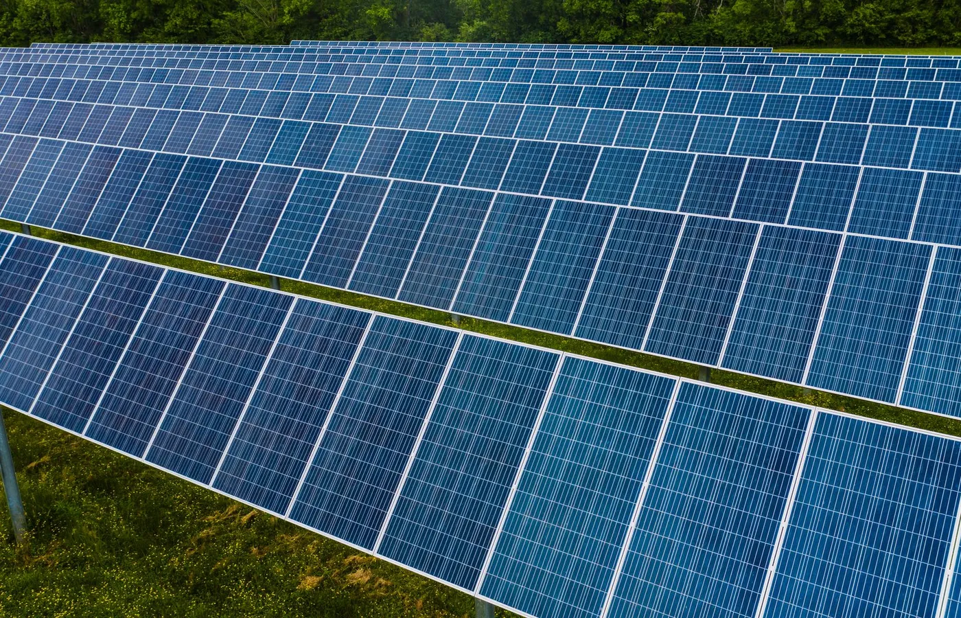 Sustainability